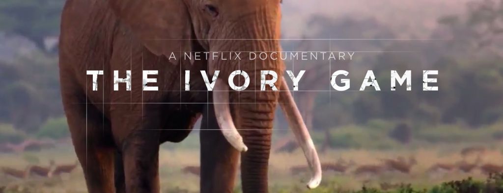 The Ivory Game Netflix